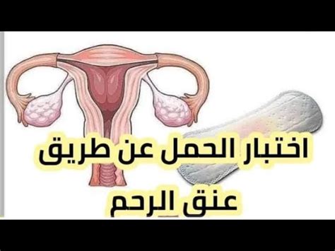مثال طباعة مرحباً يا عالم مرحباً يا عالمِ 9. الفرق بين مغص الدورة ومغص الحمل عالم حواء