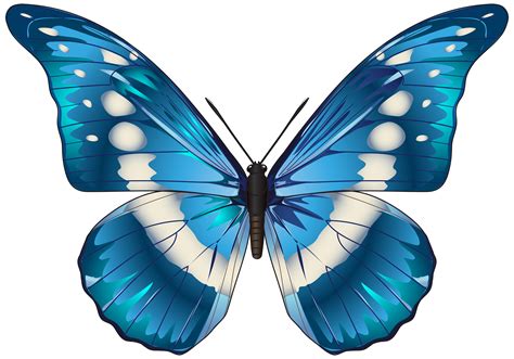 Blue Butterfly Images Clipart B83