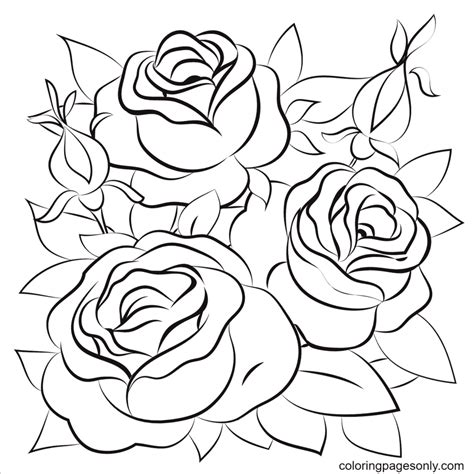 Rose Flower Coloring Pages