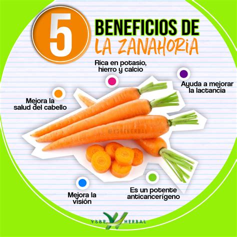 Beneficios De La Zanahoria