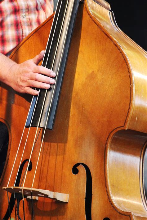 Free Download Hd Wallpaper Musician Instrument Double Bass Band Country Music Musical