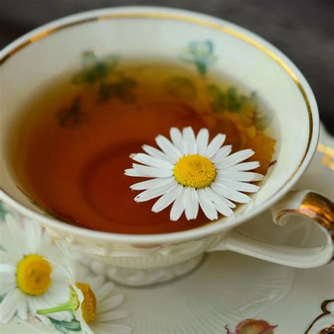 Chamomile Tea Health Topics