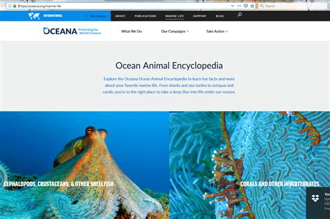 Oceana Ocean Animal Encyclopedia