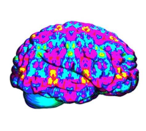 New Brain Studies Show Lsds Effects On The Brain In Full