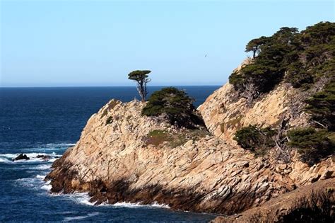 Point lobos is a state park, wait excuse me, a nature reserve in monterey, california, and it's bonkers. Point Lobos State Reserve (Carmel, CA): Top Tips Before ...