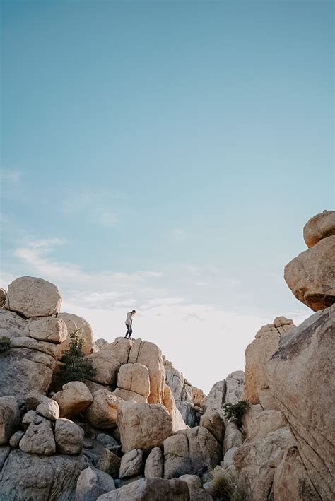15 Things You Need To Know Before Visiting Joshua Tree National Park