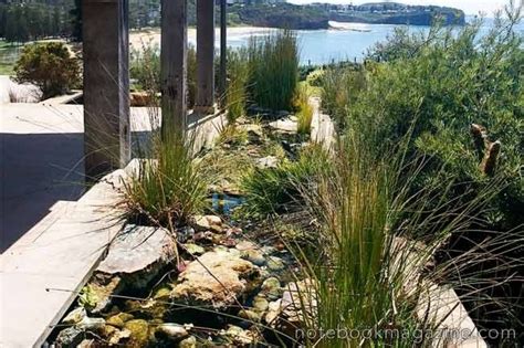 To lay a gravel path across a lawn, first dig out the turf, then flatten the soil with a shovel. Aussie Gardens on Pinterest | Australian Native Garden ...