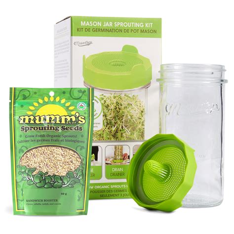 Buy Masontops Mason Jar Bean Sprouting Starter Set Easy Diy Bean