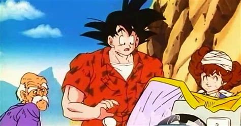 Filler Moments In Dragon Ball That Are Over