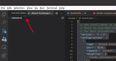 Node Js VSCode Debugger Refuses To Attach To Node Process With No