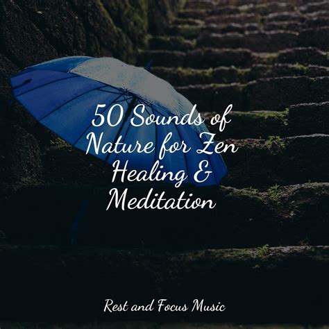 50 Sounds of Nature for Zen Healing & Meditation - Sleeping Music - 专辑