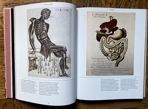 signed anatomica the exquisite and unsettling art of human anatomy by joanna ebenstein — morbid