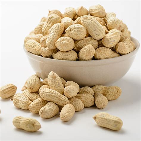 Bulk Salted In Shell Peanuts 25 Lbs Gurleys Foods