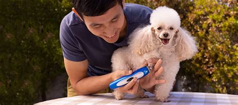 Groom Your Pet At Home With Andis Pet Grooming Clippers