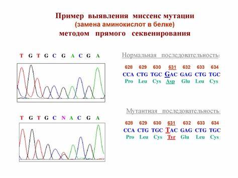 Диеты при эпштейн барр Онкогены. Активирующие мутации в онкогенах. Вирусный канцерогенез (HPV Онкогены. Активирующие мутации в онкогенах. Вирусный канцерогенез (HPV Диеты при эпштейн барр
