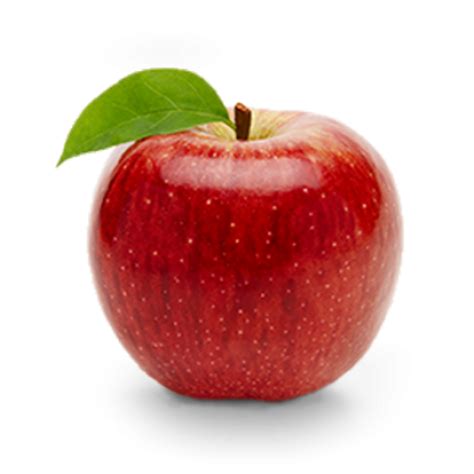 Apfel bringt regelmäßig alles rund um fortnite deathruns!der kanal apfel ist ein familien freundlicher kanal, mit keiner spur von ausdrücken. true fruits GmbH