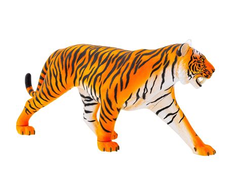 Tiger Anatomy Model Thames And Kosmos