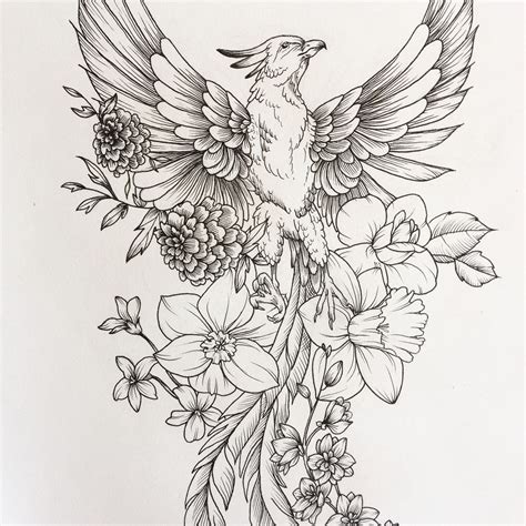 Phoenix Sketch Feathertattooideas Feather Tattoos Tattoos Body Art