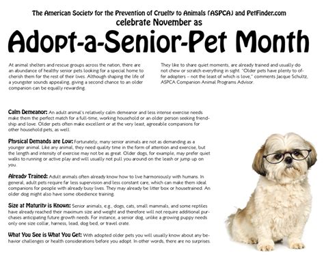 November Is National Adopt A Senior Pet Month