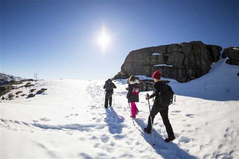 One of the best nature experienc. Preikestolen + Trolltunga Winter/Spring Package - Explore ...