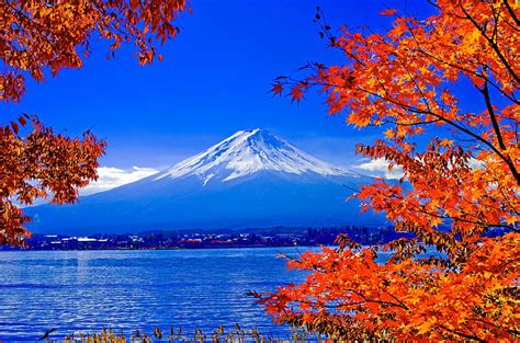 Mount Fuji In Autumn Mountain Autumn Nature Fuji Branch Lake Hd