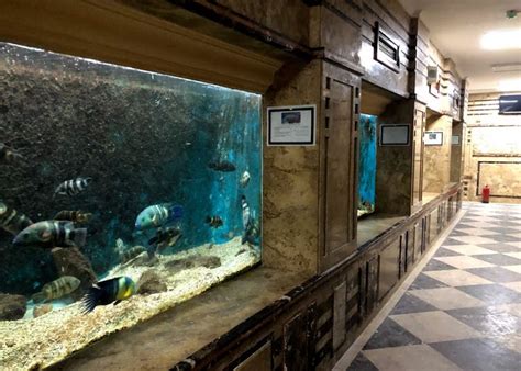 بحث عن متحف الاحياء المائية بالاسكندرية