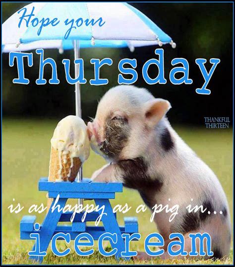 Hope Your Thursday Is Happy Pictures Photos And Images For Facebook