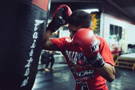 Parramatta (/ˌpærəˈmætə/) is a major commercial suburb and centre in greater western sydney, located in the state of new south wales, australia. Bulldog Gym Parramatta | 5 Seville St, North Parramatta ...