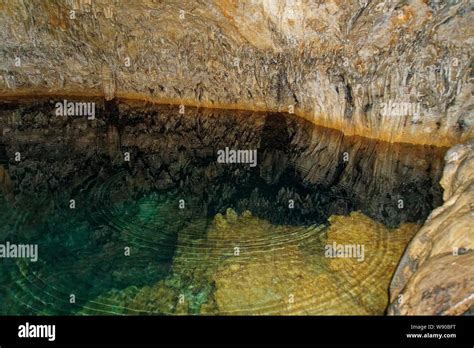 Anahulu Cave The Underground Swimming Pool Tonga Island Geological