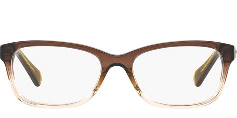 coach hc6089 eyeglasses for women in olive brown gradient