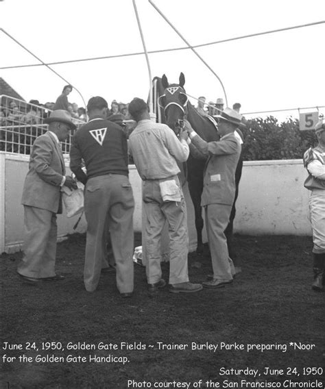 Golden Gate Horse Racing Results