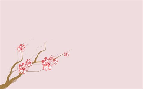 Cherry Blossom Background 68 Images
