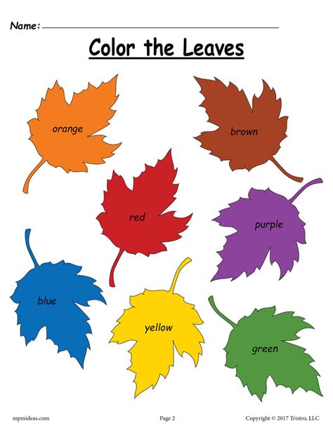 Printable Fall Leaf Activities