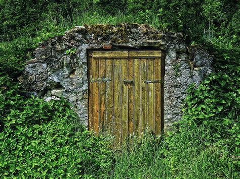 Everything You Should Know To Build A Modern Root Cellar