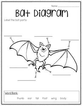 A bat or two found hanging under the eaves or the ceiling of a porch or carport are just resting between feeding flights, close to their food: Bat Informational Unit FREEBIE (With images) | Text features, Bat, Informative