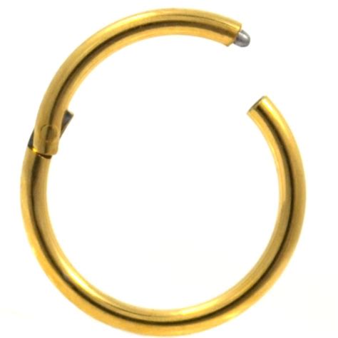 gold tone steel hinged segment ring hoop 16g segment rings gold tones gold