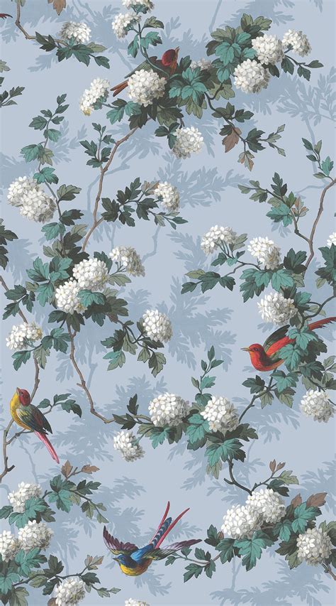 Vintage Bird Wallpapers Top Free Vintage Bird Backgrounds