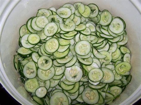 The only problem is the thawing of the sauce — it will be a bit thinner than when you made it and the cucumbers could be soggy. Can You Freeze Cucumbers | Comfort food, Frozen veggies ...
