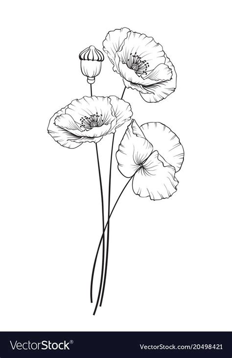 Flat Single Poppy On White Background Summer Or Spring Illustration Of