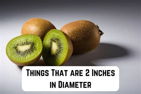 20 Things That Are 2 Inches In Diameter Pics Measuringly