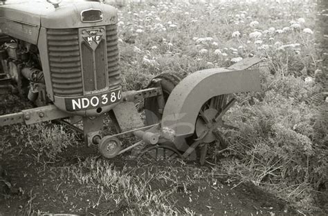 Farming Agriculture Tractor International Fordson Caterpillar Ploughing