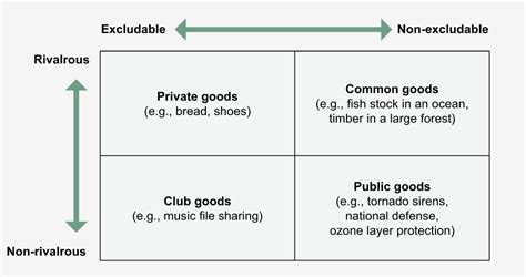 What Are Global Public Goods By Sarrin Chethik