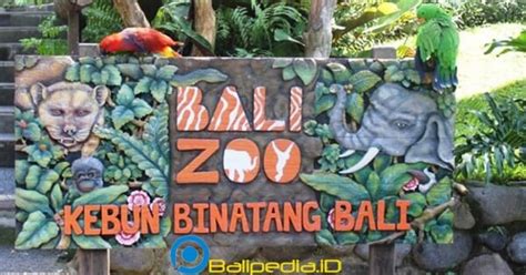 Untuk akses lokasi kolam renang mulawarman lebih mudah bisa maping: Bali Zoo Vs Bali Safari - Bali Tour Agency