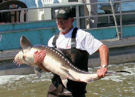(redirected from santa ana river lakes). Santa Ana River Lakes Fish Report - Santa Ana, CA (Orange ...