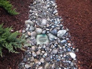 Standing water can kill your landscape. The Best Ways to Deal with Storm Water - Heinen Landscape