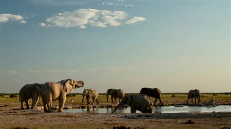 Botswana National Parks Safaris And Tours Explore Plus