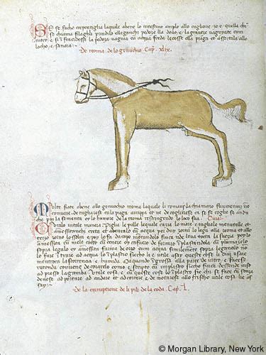 Download more apps with digi smart plan and digi iphone 6. Livro de la Menscalcia de li cavalli, MS M.735 fol. 78v ...