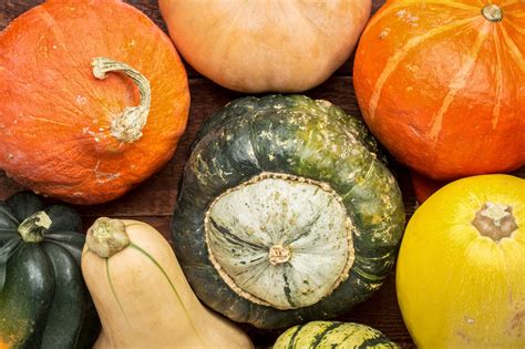 Check spelling or type a new query. How to Bake Winter Squash in a Convection Oven ...
