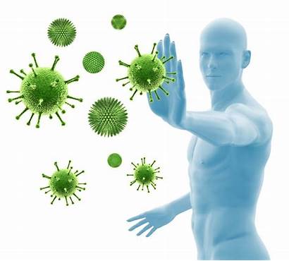 Immune System Immunity Boost Booster Boosting Natural