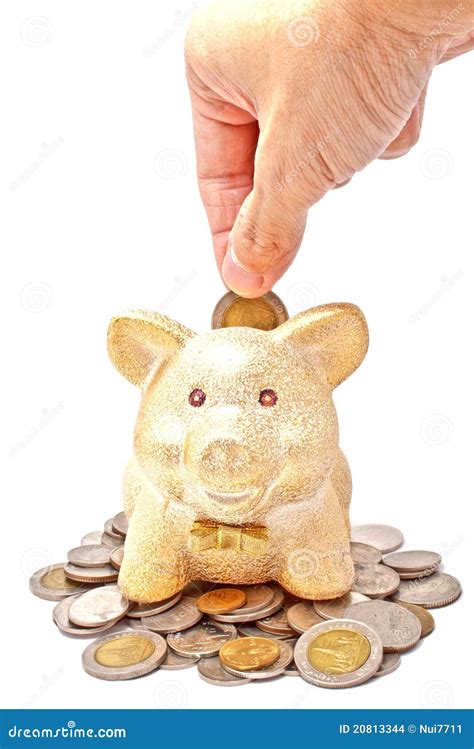 A Male S Hand Putting A Coin To Piggy Bank Stock Photo Image Of